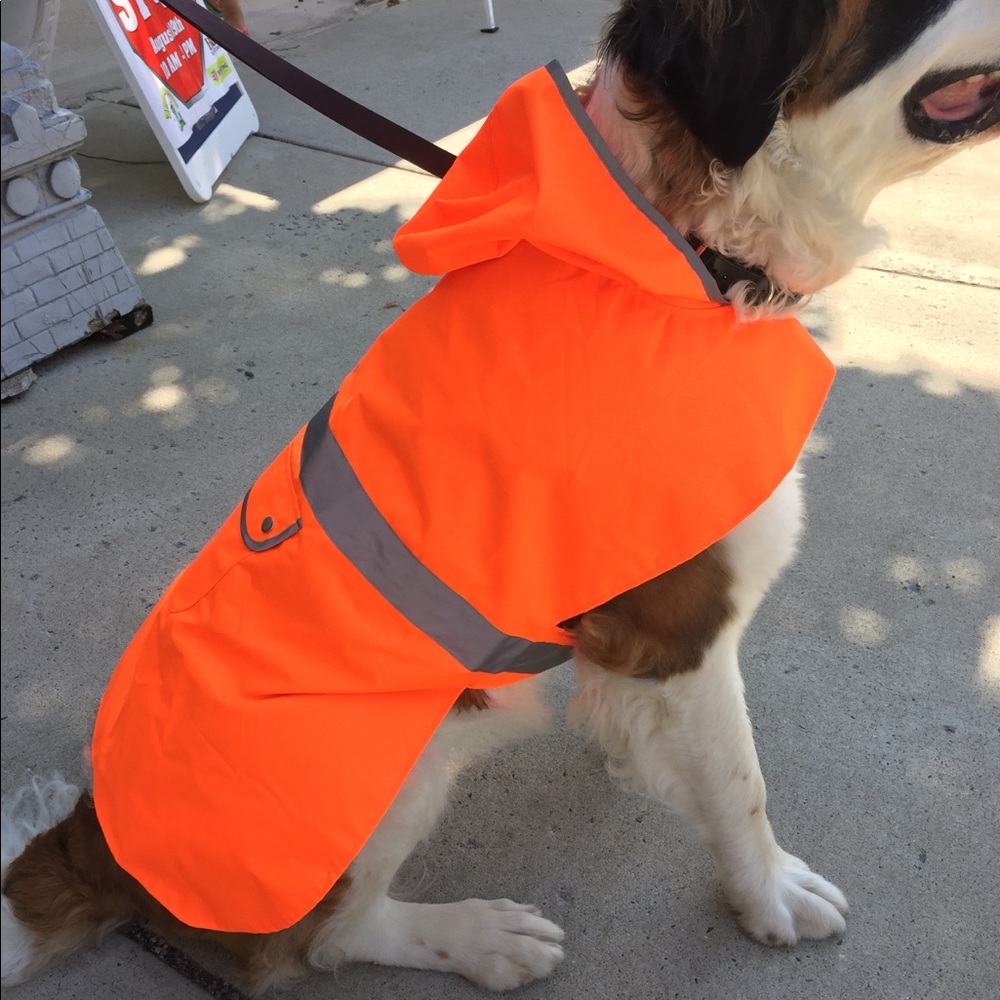 Big Dog Raincoat